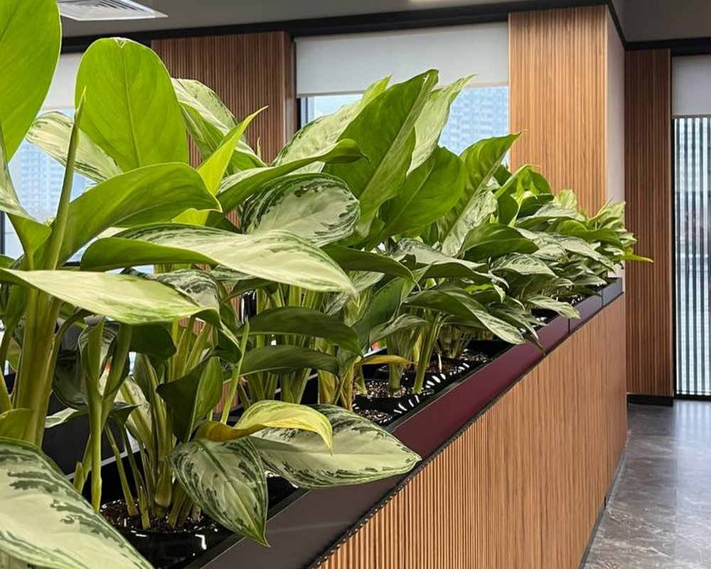 Панель МДФ ACUPAN 61.08.122502.94 рейки 12х122х2760 мм Эльм коричневый